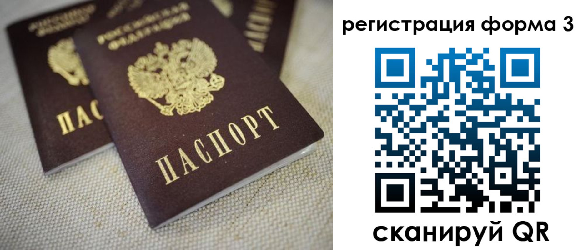 прописка законно в Купино